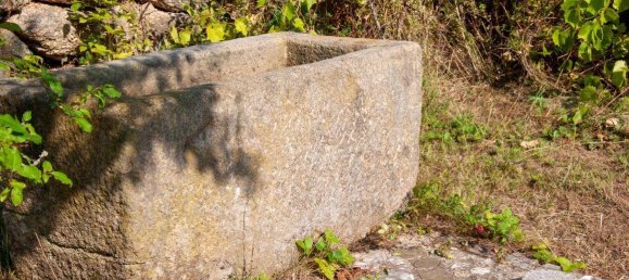 6غرفة منزل في Pabneukirchen, Austria رقم 175102 21