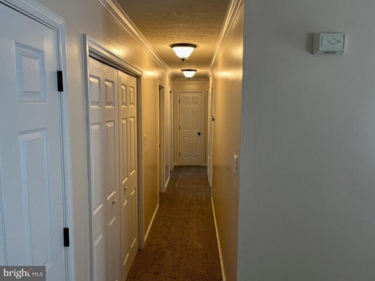 3 bedrooms House in Woodstock, USA No. 441515