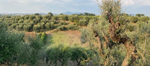 Land in Ariccia, Italy No. 156780 9