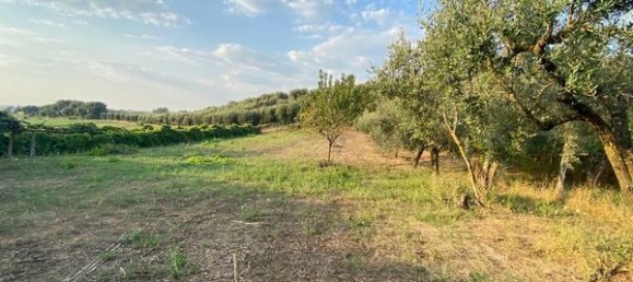 Land in Ariccia, Italy No. 156780 4