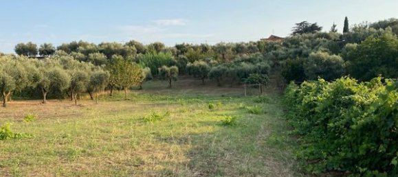 Land in Ariccia, Italy No. 156780 10