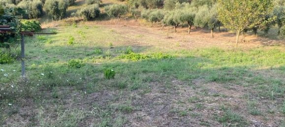 Land in Ariccia, Italy No. 156780 11