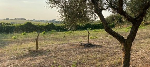 Land in Ariccia, Italy No. 156780 5