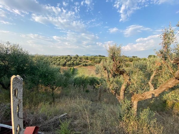  Land in Ariccia, Italy No. 156780