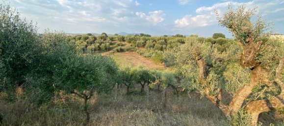 Land in Ariccia, Italy No. 156780 3