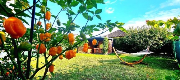 Moradia em banda de 4 divisões em Kalsdorf bei Graz, Austria N.º 258773 13