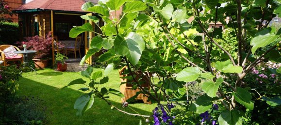 Таунхаус с 5 комнатами в Вольфенбюттель, Германия № 309570 20