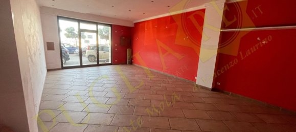 2 rooms Commercial property in Mola di Bari, Italy No. 172406 5