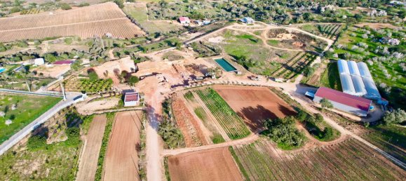 39 bedrooms House in Guia, Portugal No. 10067 9