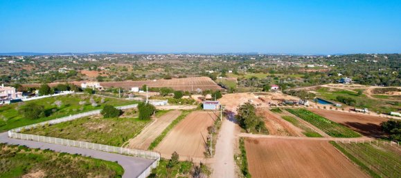 39 bedrooms House in Guia, Portugal No. 10067 5