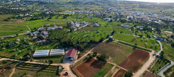 39 bedrooms House in Guia, Portugal No. 10067 11