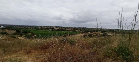 39 bedrooms House in Guia, Portugal No. 10067 10