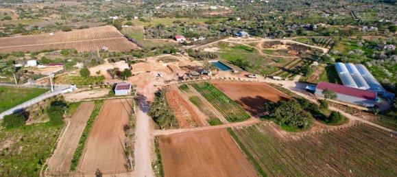 39 bedrooms House in Guia, Portugal No. 10067 3