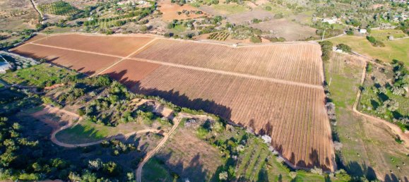 39 bedrooms House in Guia, Portugal No. 10067 8