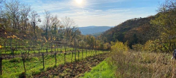 6 rooms House in Dobling, Austria No. 53236 9