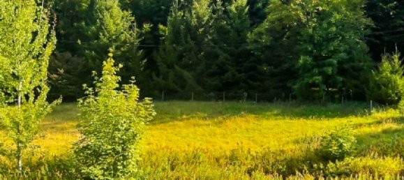 Дом с 4 спальнями в Саксонская Швейцария — Восточные Рудные Горы, Германия № 284886 3