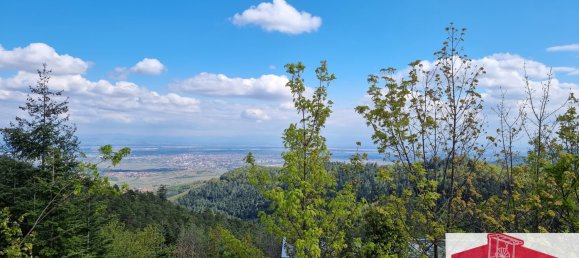 Edificio de 10 dormitorios en Niedermorschwihr, France No. 272200 4