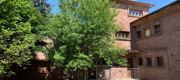 Edificio de 10 dormitorios en Niedermorschwihr, France No. 272200 2