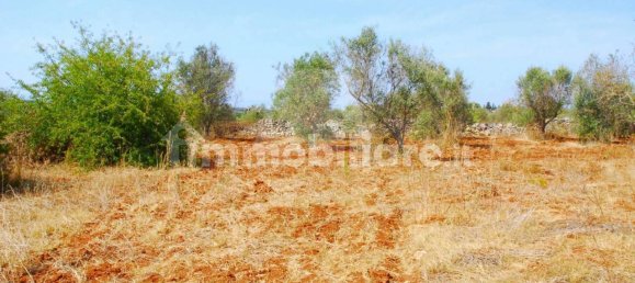 7419m² Land in Alessano, Italy No. 322078 6