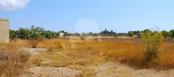 7419m² Land in Alessano, Italy No. 322078 5