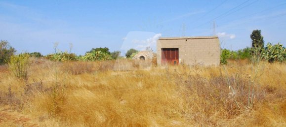 7419m² Land in Alessano, Italy No. 322078 3
