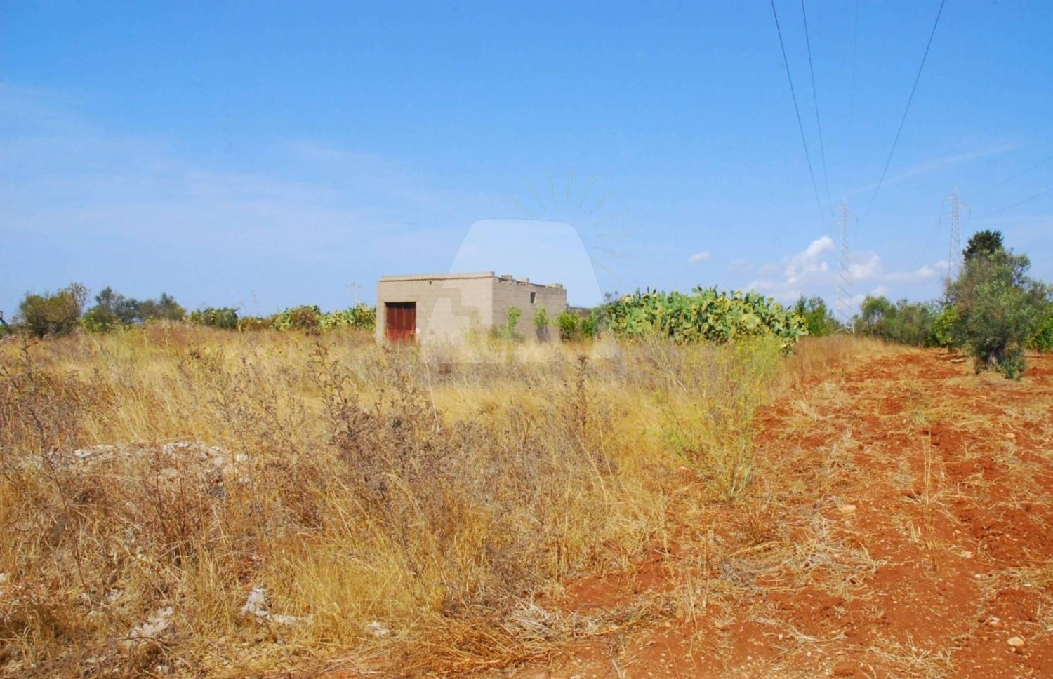 Terrain à Alessano, Italy 7419m² No. 322078