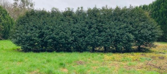 Terreno em Oise, France 1000 m² N.º 332008 3