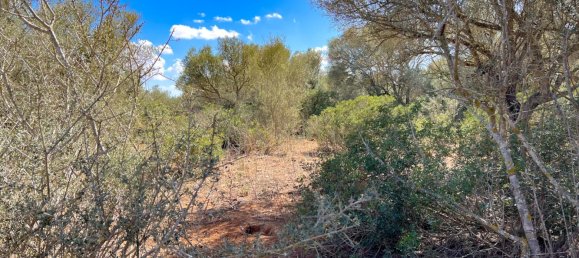  Land in Felanitx, Spain No. 145233 19