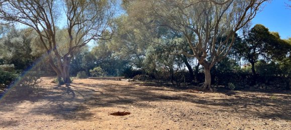  Land in Felanitx, Spain No. 145233 13