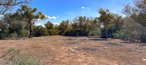  Land in Felanitx, Spain No. 145233 16