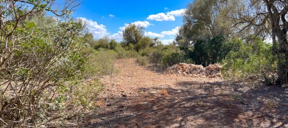 Land in Felanitx, Spain No. 145233 18