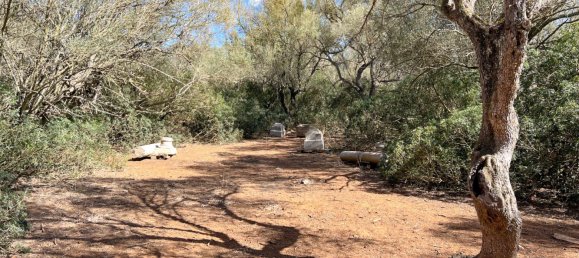  Land in Felanitx, Spain No. 145233 8