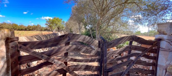  Land in Felanitx, Spain No. 145233 3