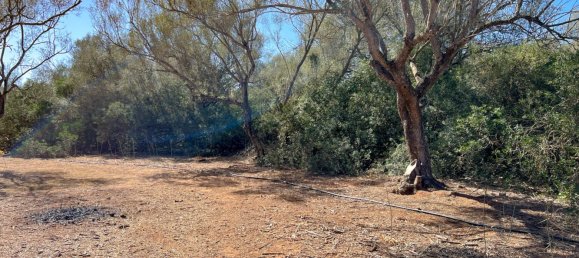  Land in Felanitx, Spain No. 145233 15