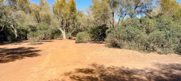  Land in Felanitx, Spain No. 145233 5