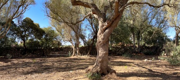  Land in Felanitx, Spain No. 145233 14