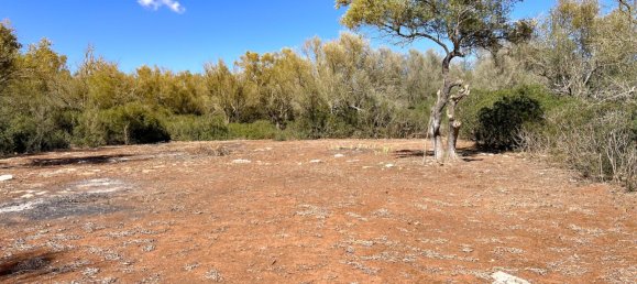  Land in Felanitx, Spain No. 145233 17