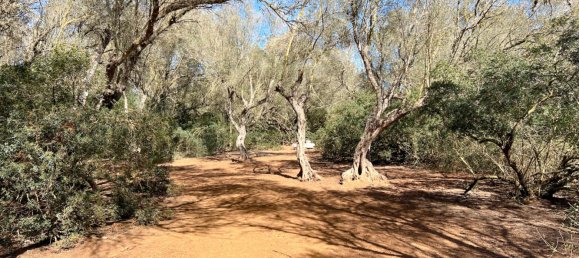  Land in Felanitx, Spain No. 145233 7