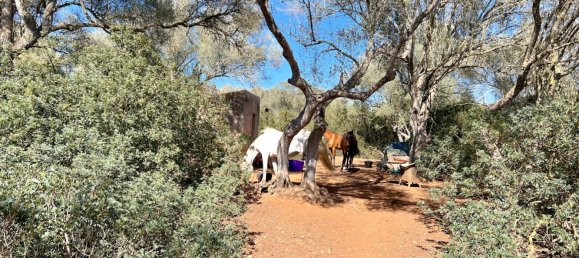  Land in Felanitx, Spain No. 145233 2