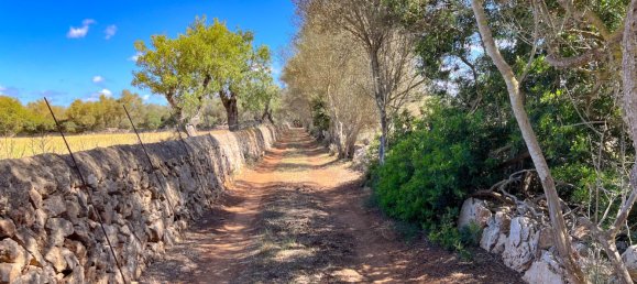  Land in Felanitx, Spain No. 145233 4