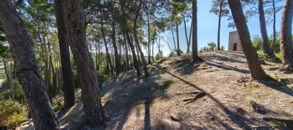 4 Schlafzimmer Haus in Sesimbra, Portugal, Nr. 51230 19
