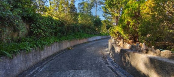 4 Schlafzimmer Haus in Sesimbra, Portugal, Nr. 51230 17