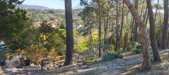 4 Schlafzimmer Haus in Sesimbra, Portugal, Nr. 51230 21