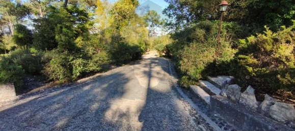 4 Schlafzimmer Haus in Sesimbra, Portugal, Nr. 51230 16