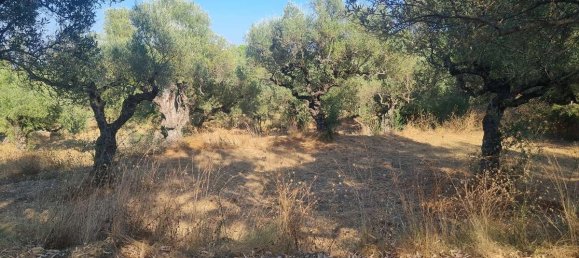 Hotel em Zakynthos, Greece N.º 8564 14