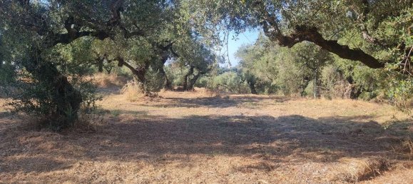 Hotel em Zakynthos, Greece N.º 8564 7