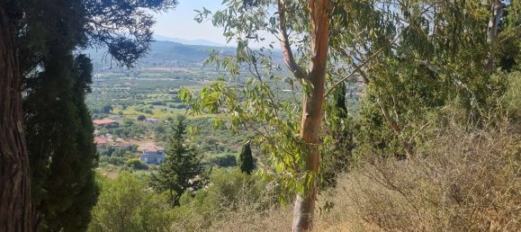 Terra em Zakynthos, Greece N.º 8564 9