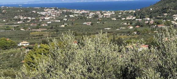Terra em Zakynthos, Greece N.º 8564 13