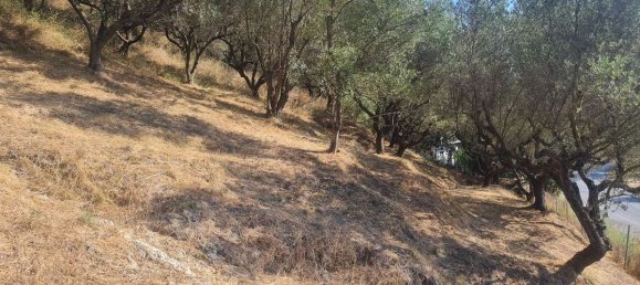 Hotel em Zakynthos, Greece N.º 8564 3