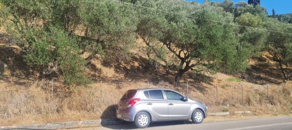 Terra em Zakynthos, Greece N.º 8564 16